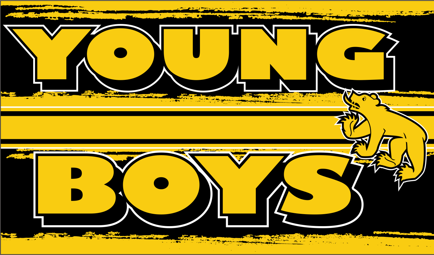 Young Boys / YB
