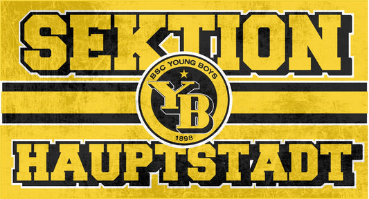 Sektion Hauptstadt