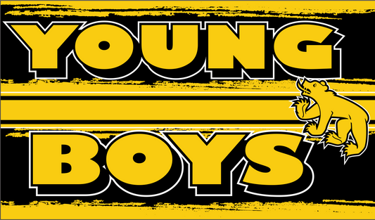Young Boys / YB